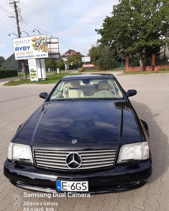 Mercedes-Benz SL cena 79500 przebieg: 150000, rok produkcji 1998 z Łódź małe 191